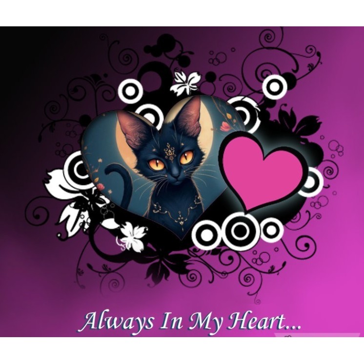 Lot de 10 cartes imprimees a offrir